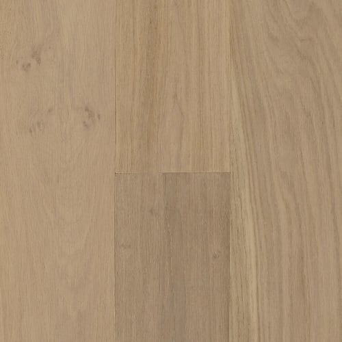 Amelia Island in Sandbar