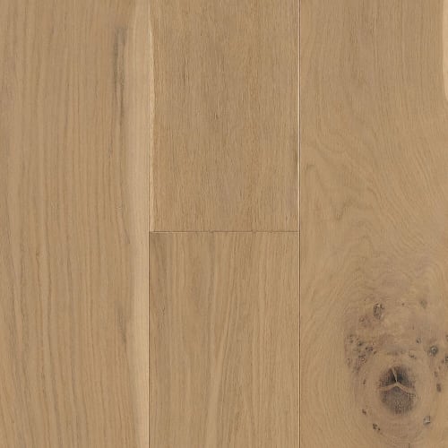 Amelia Island in Espana