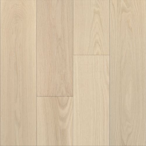 Jekyll Island - 7 1/2" in Oceanview