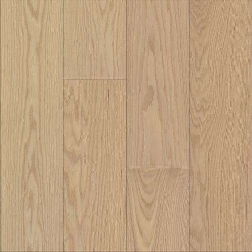 Jekyll Island - 9" in Ocean Club