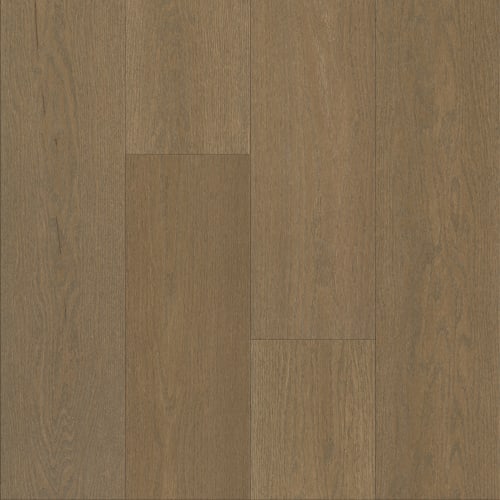 Jekyll Island - 9" in Tidelands