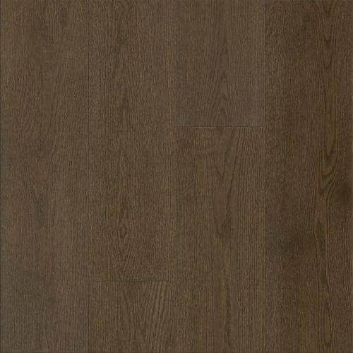 Jekyll Island - 9" in Tidelands