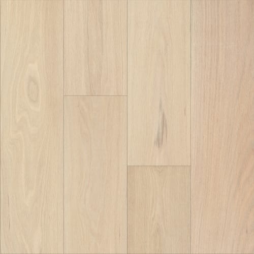 Jekyll Island - 9" in Glory