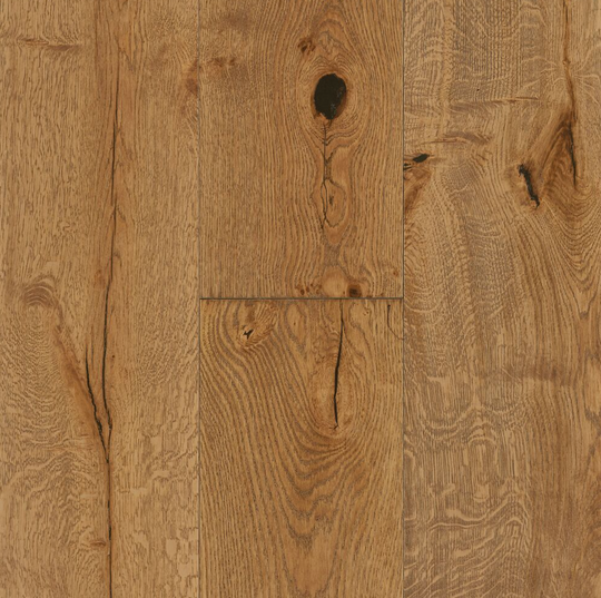 Woodland Enterprise in Bear Cub