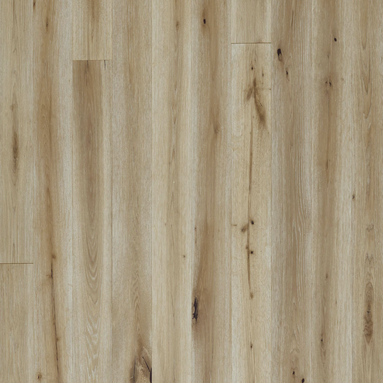 Montesilvano in Rimini