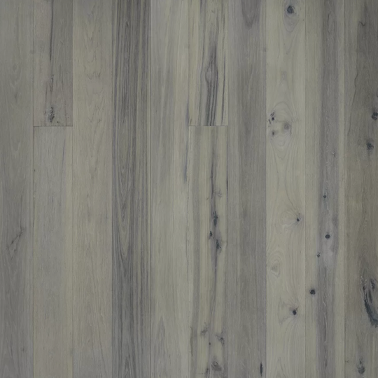 Lake & Shore in Jersey