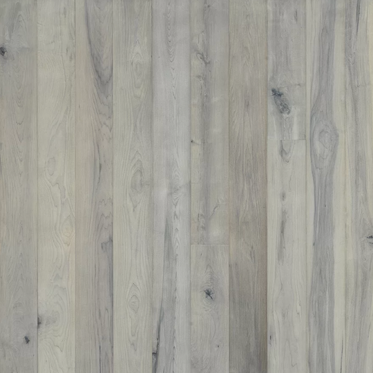 Lake & Shore in Juneau