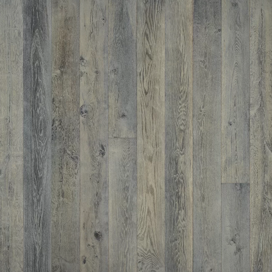 Lake & Shore in Snowbrush